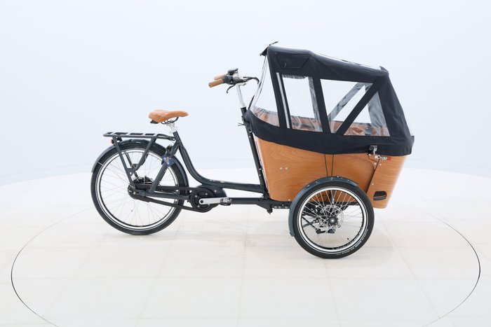 Babboe Carve Mountain 2022