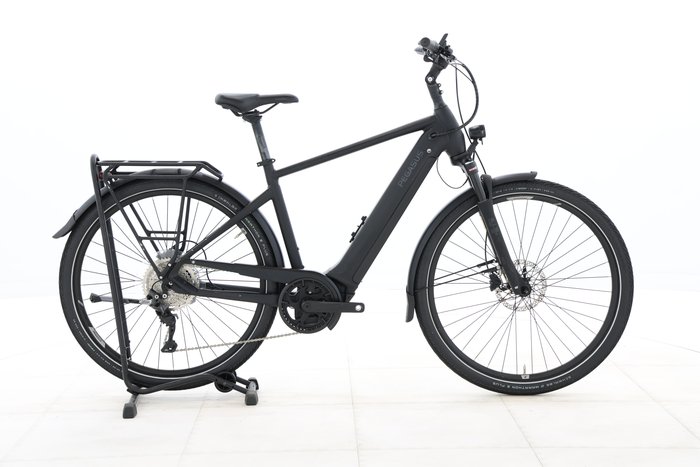 Pegasus PREMIO EVO 10 LITE 500 2023