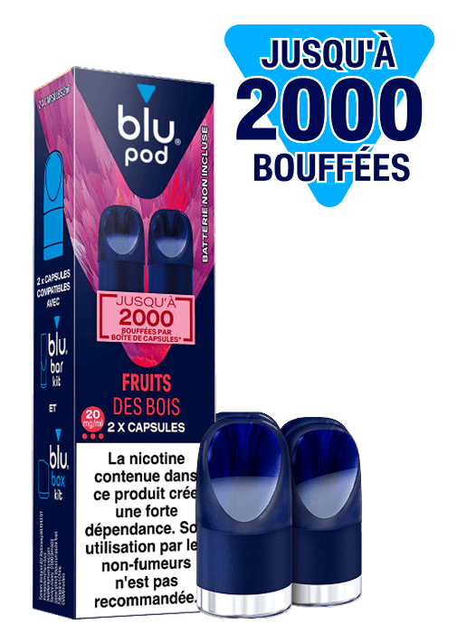 Cigarettes électroniques compactes : e-cigarettes minis Blu Box Kit