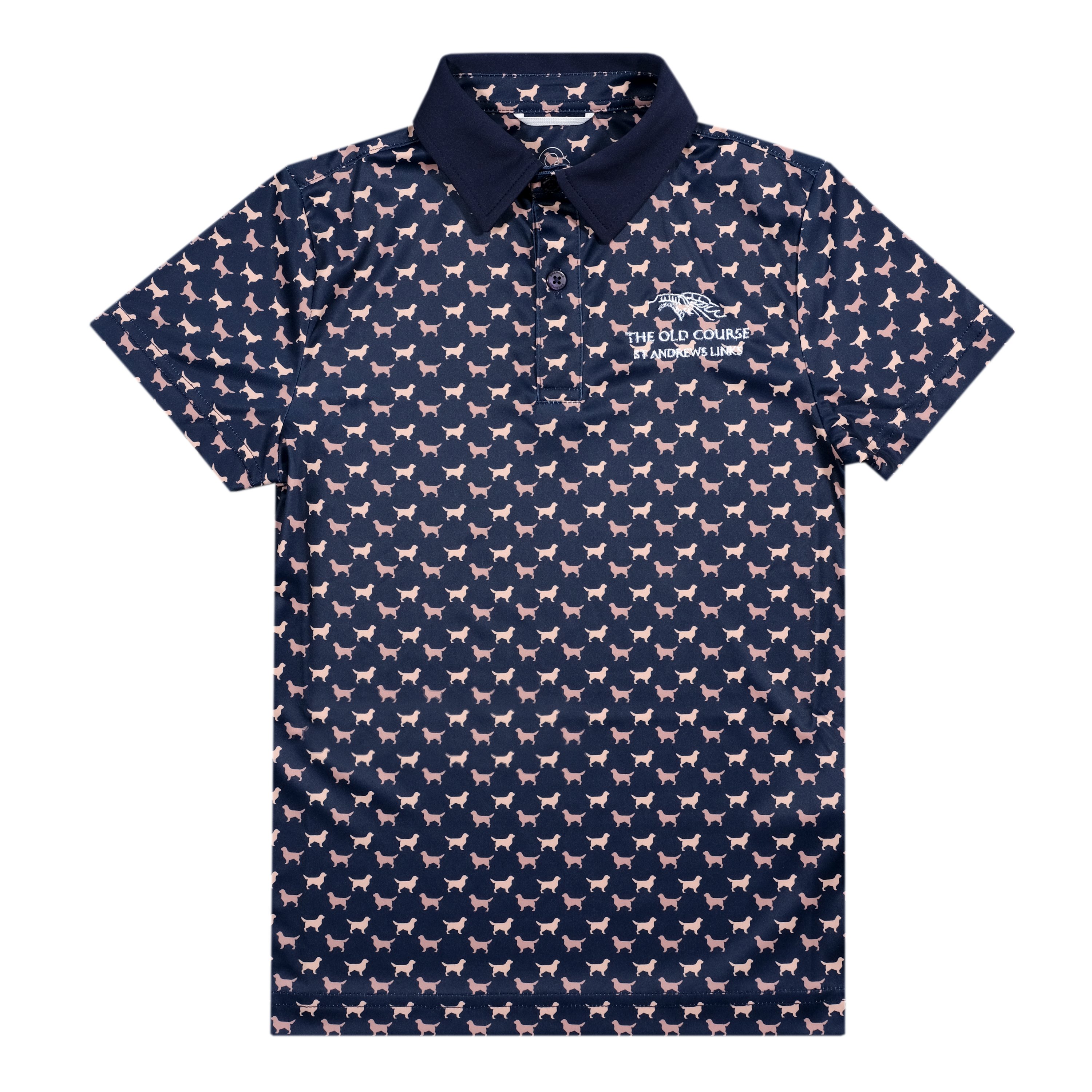 Swannies Dublin Junior Polo