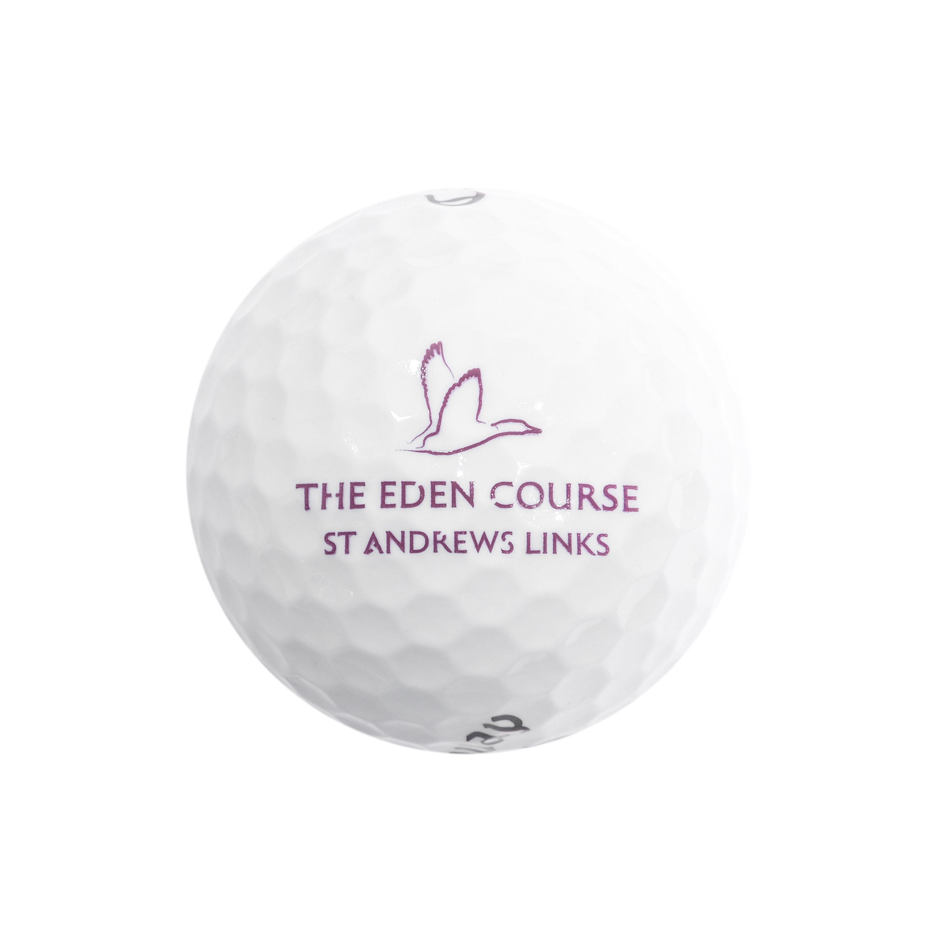 The Eden Course Warbird Golf Ball